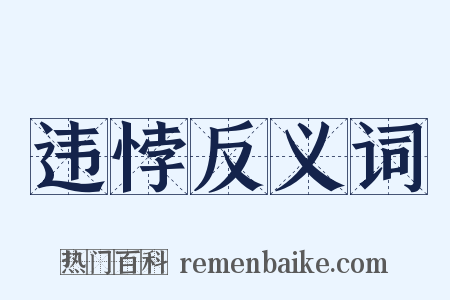 违悖反义词是什么意思的图片